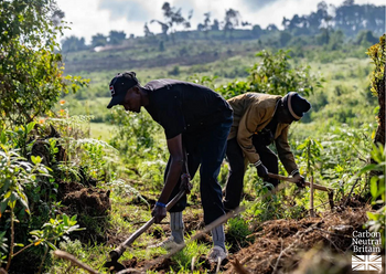 Organic Cotton field